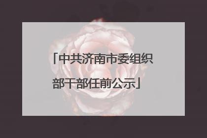 中共济南市委组织部干部任前公示