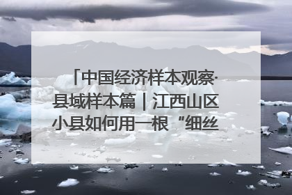 中国经济样本观察·县域样本篇｜江西山区小县如何用一根“细丝”拉出百亿级产业？
