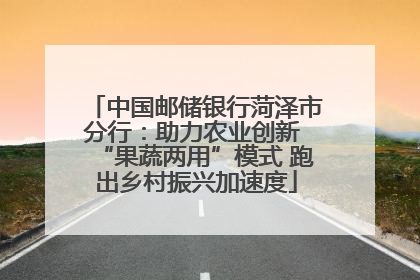 中国邮储银行菏泽市分行：助力农业创新 “果蔬两用”模式 跑出乡村振兴加速度