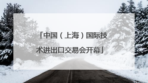 中国（上海）国际技术进出口交易会开幕