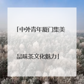 中外青年厦门集美品味茶文化魅力