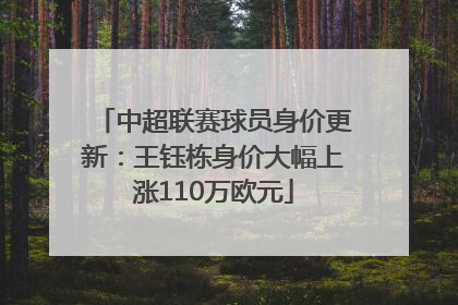 中超联赛球员身价更新：王钰栋身价大幅上涨110万欧元