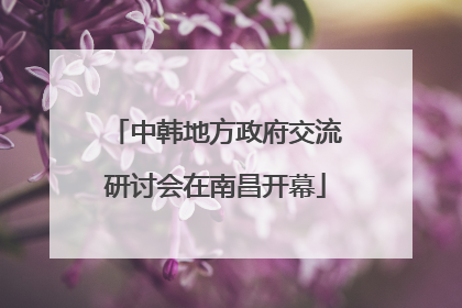 中韩地方政府交流研讨会在南昌开幕
