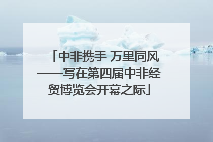 中非携手 万里同风——写在第四届中非经贸博览会开幕之际