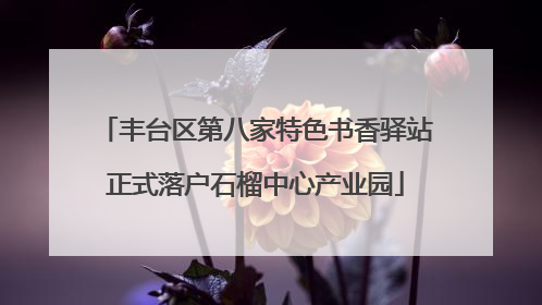 丰台区第八家特色书香驿站正式落户石榴中心产业园