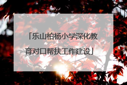 乐山柏杨小学深化教育对口帮扶工作建设