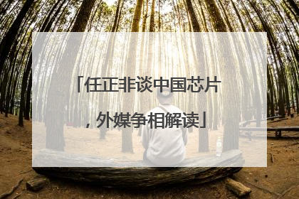 任正非谈中国芯片，外媒争相解读