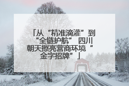从“精准滴灌”到“全链护航” 四川朝天擦亮营商环境“金字招牌”