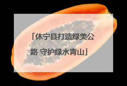 休宁县打造绿美公路 守护绿水青山