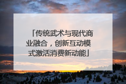 传统武术与现代商业融合，创新互动模式激活消费新动能