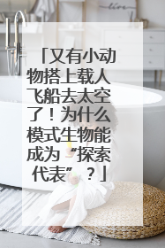 又有小动物搭上载人飞船去太空了！为什么模式生物能成为“探索代表”？