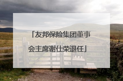 友邦保险集团董事会主席谢仕荣退任
