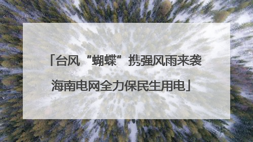 台风“蝴蝶”携强风雨来袭 海南电网全力保民生用电