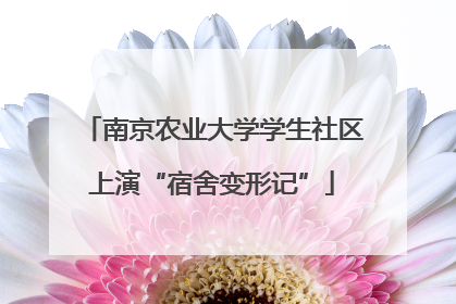 南京农业大学学生社区上演“宿舍变形记”