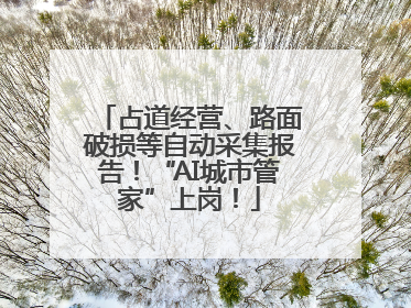占道经营、路面破损等自动采集报告！“AI城市管家”上岗！