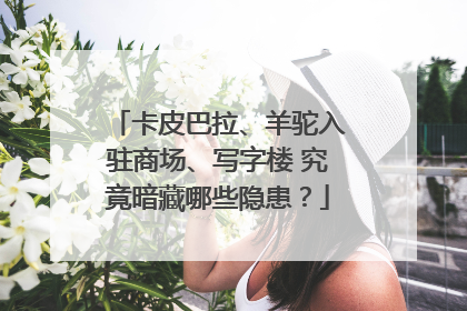 卡皮巴拉、羊驼入驻商场、写字楼 究竟暗藏哪些隐患？