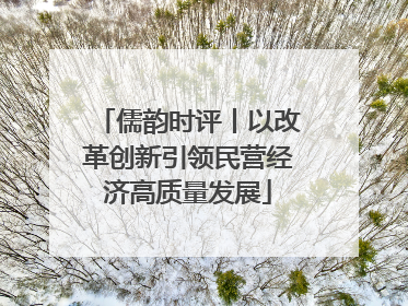 儒韵时评丨以改革创新引领民营经济高质量发展