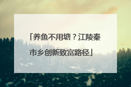养鱼不用塘？江陵秦市乡创新致富路径