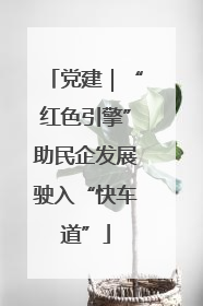 党建｜“红色引擎”助民企发展驶入“快车道”