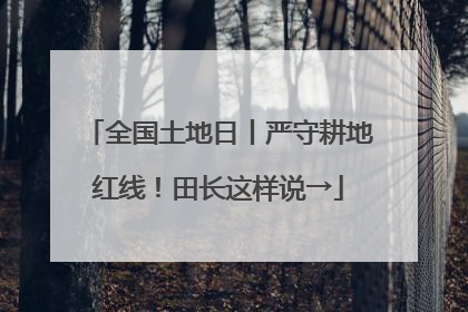 全国土地日丨严守耕地红线！田长这样说→