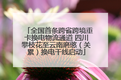 全国首条跨省跨境重卡换电物流通道 四川攀枝花至云南磨憨（关累）换电干线启动