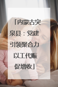 内蒙古突泉县：党建引领聚合力 以工代赈促增收