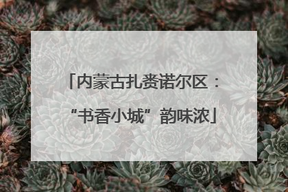内蒙古扎赉诺尔区：“书香小城”韵味浓