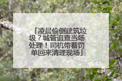 凌晨偷倒建筑垃圾？城管追查当场处理！司机带着罚单回来清理现场