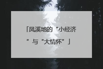 凤溪地的“小经济”与“大情怀”