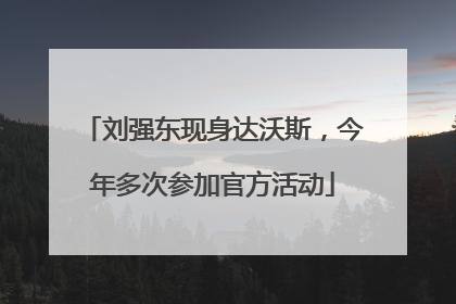 刘强东现身达沃斯，今年多次参加官方活动