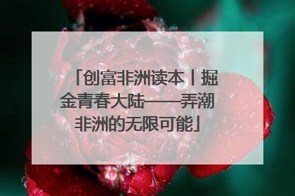 创富非洲读本丨掘金青春大陆——弄潮非洲的无限可能