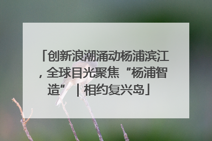 创新浪潮涌动杨浦滨江，全球目光聚焦“杨浦智造”｜相约复兴岛