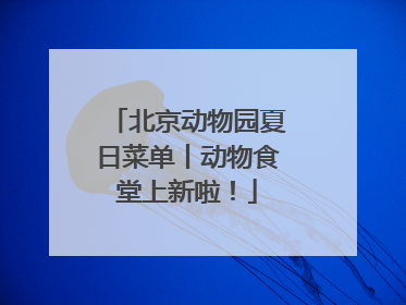 北京动物园夏日菜单丨动物食堂上新啦！