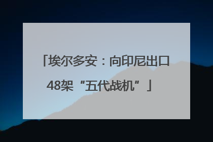 埃尔多安：向印尼出口48架“五代战机”