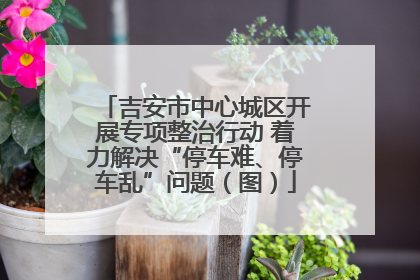 吉安市中心城区开展专项整治行动 着力解决“停车难、停车乱”问题（图）