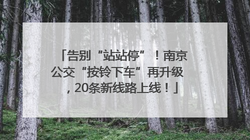 告别“站站停”！南京公交“按铃下车”再升级，20条新线路上线！