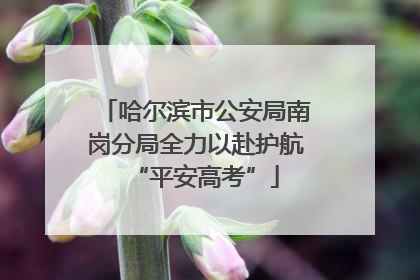 哈尔滨市公安局南岗分局全力以赴护航“平安高考”