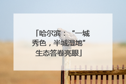 哈尔滨：“一城秀色，半城湿地”生态答卷亮眼