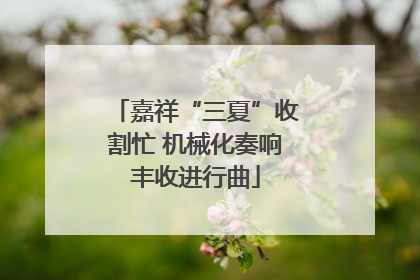 嘉祥“三夏”收割忙 机械化奏响丰收进行曲