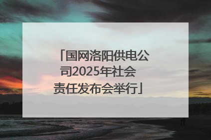 国网洛阳供电公司2025年社会责任发布会举行