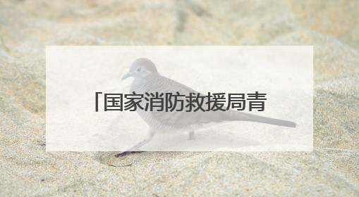 国家消防救援局青海机动队伍开展航空应急救援专项培训