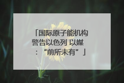 国际原子能机构警告以色列 以媒：“前所未有”
