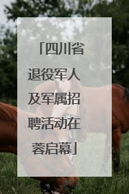 四川省退役军人及军属招聘活动在蓉启幕