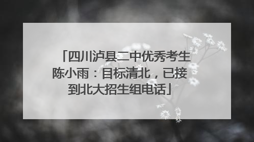 四川泸县二中优秀考生陈小雨：目标清北，已接到北大招生组电话