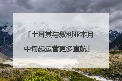土耳其与叙利亚本月中旬起运营更多直航