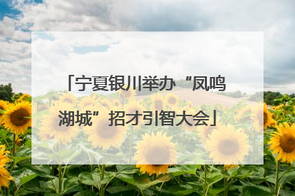宁夏银川举办“凤鸣湖城”招才引智大会