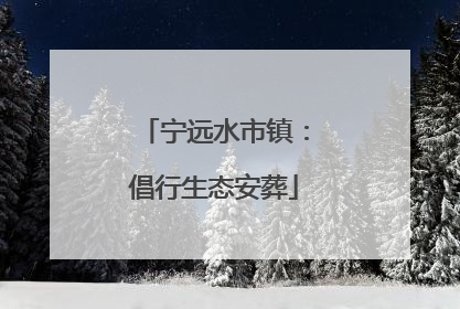 宁远水市镇：倡行生态安葬
