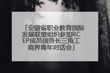 安徽省职业教育国际发展联盟组织参加RCEP成员国暨长三角工商界青年对话会
