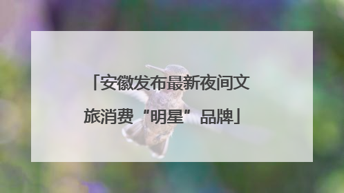 安徽发布最新夜间文旅消费“明星”品牌