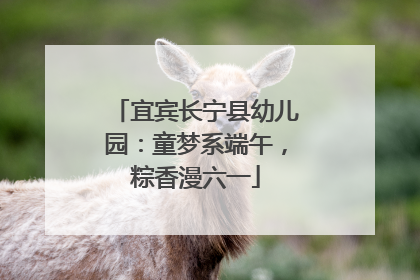 宜宾长宁县幼儿园：童梦系端午，粽香漫六一